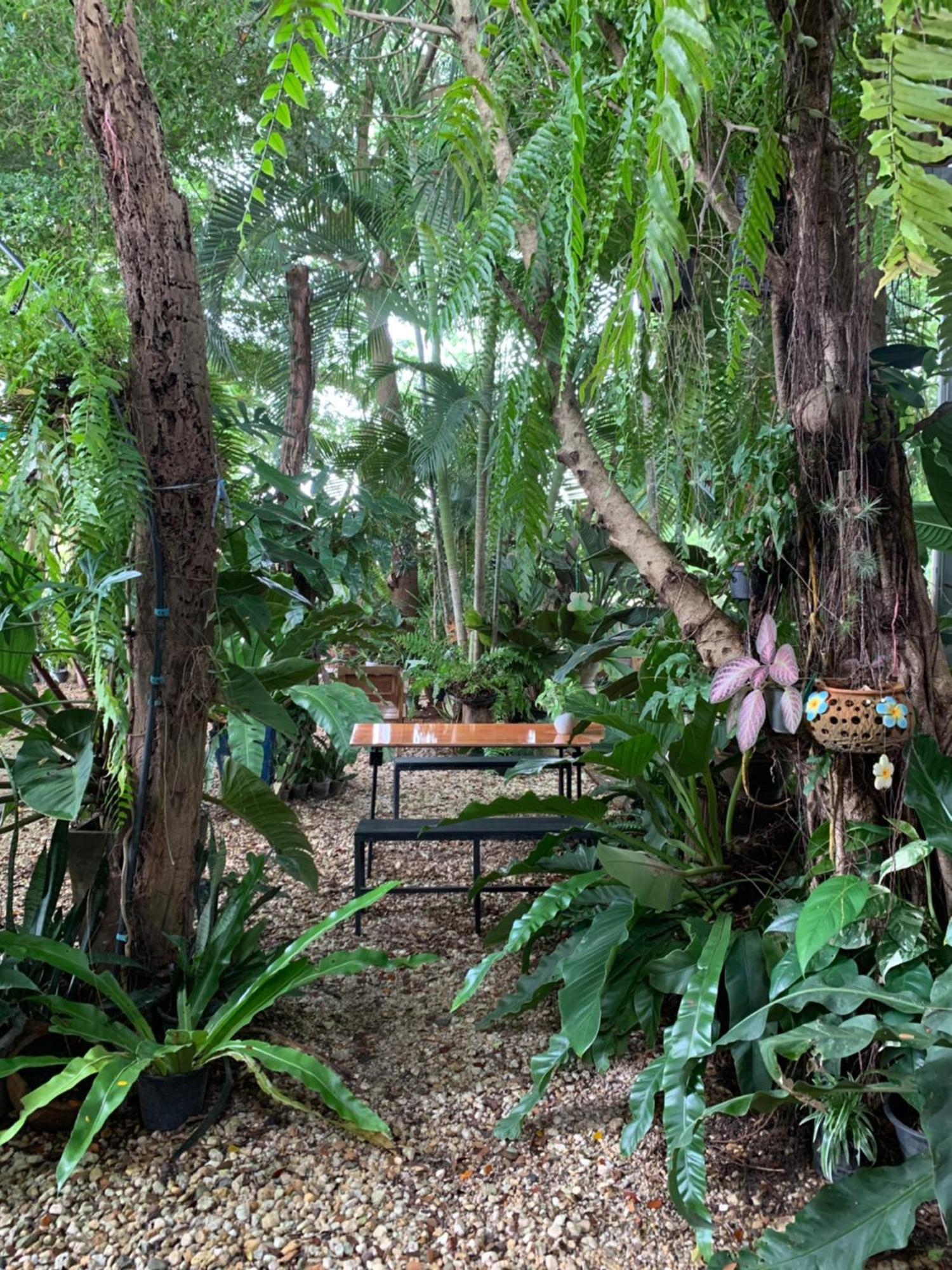 Baan Suan Duang Porn Resort Ban Phae  Экстерьер фото