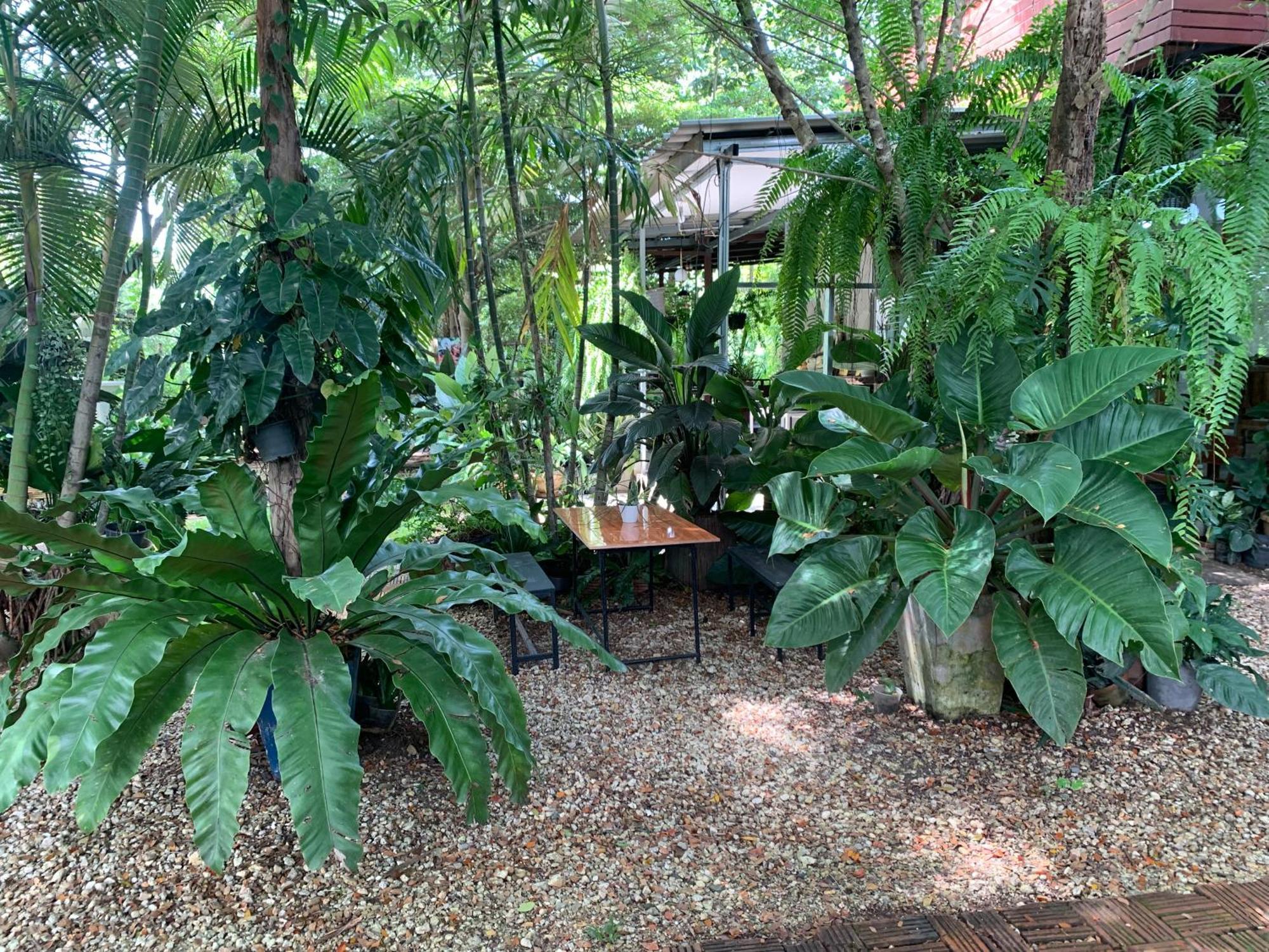 Baan Suan Duang Porn Resort Ban Phae  Экстерьер фото