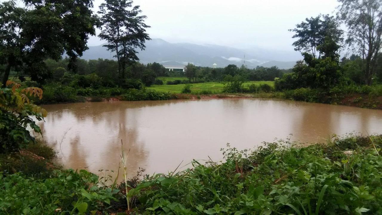 Baan Suan Duang Porn Resort Ban Phae  Экстерьер фото