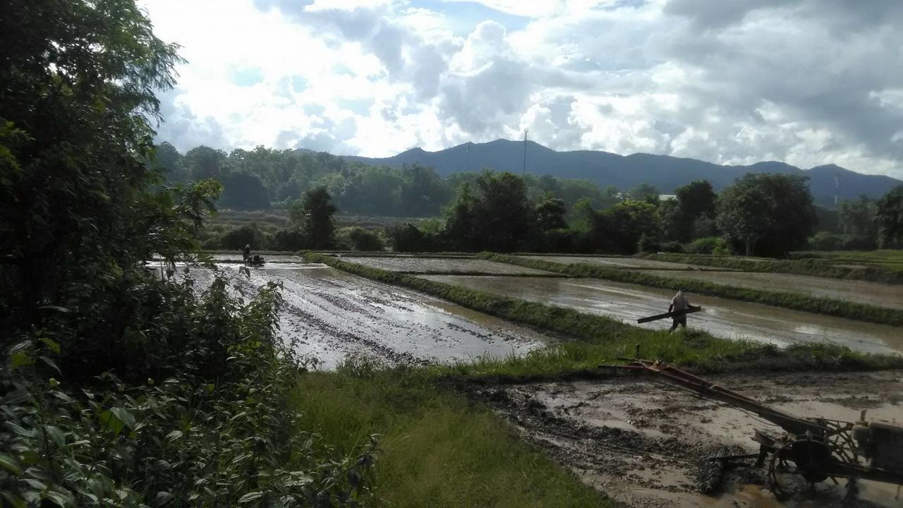 Baan Suan Duang Porn Resort Ban Phae  Экстерьер фото
